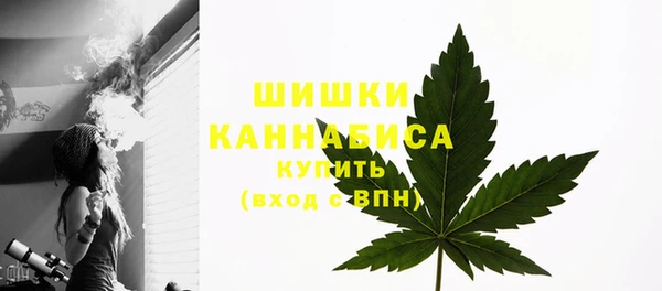 бошки Вяземский